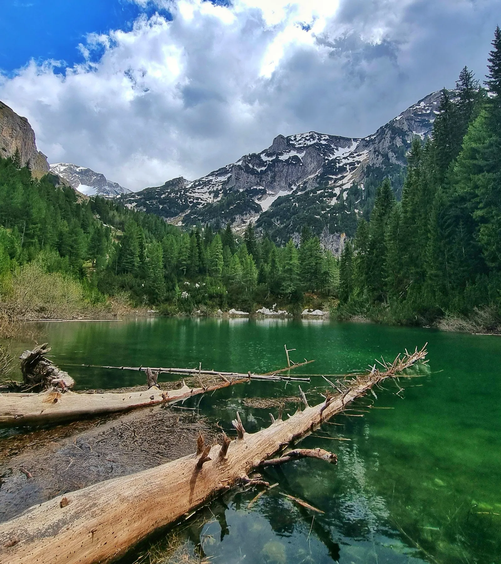 Liqeni i Vogël, a mountain lake in Rugova above Peja, fallen trunks in the water