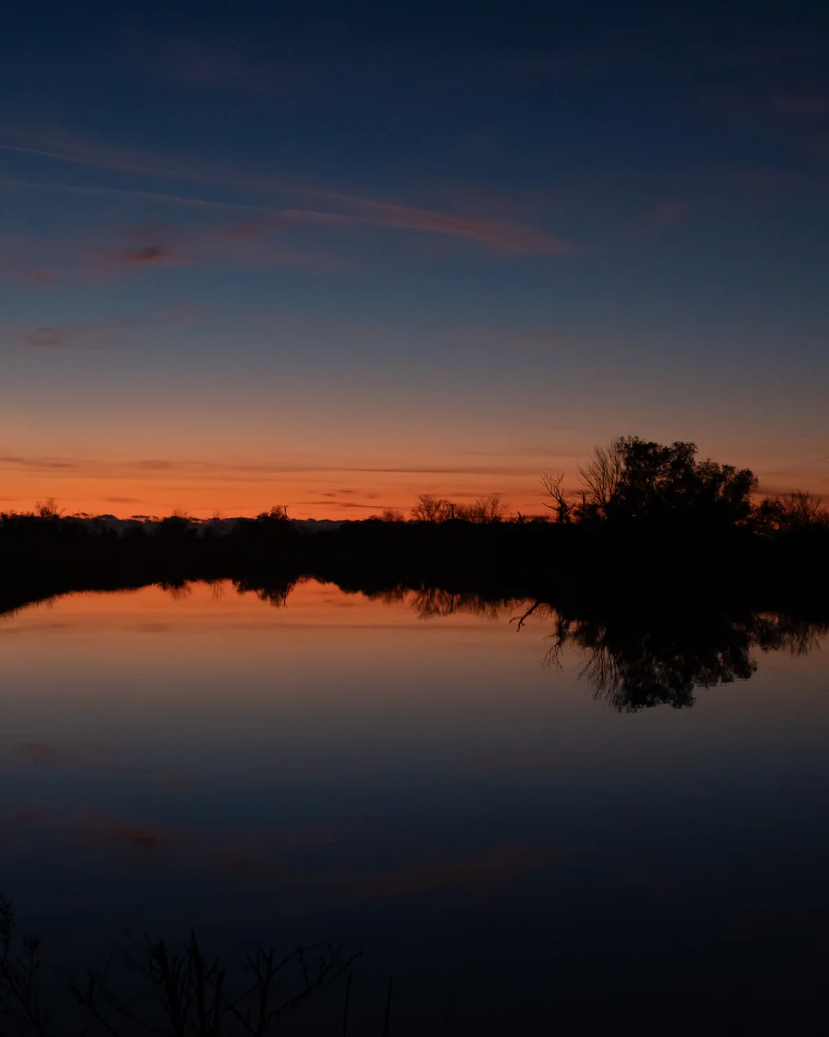 Dusk over the Vain lagoon near Lezhë, the trees mirrored in the water